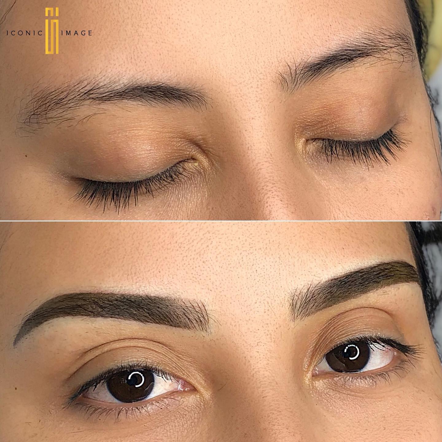 ICONIC IMAGE | Best Atlanta Microblading Microshading Brow Lamination